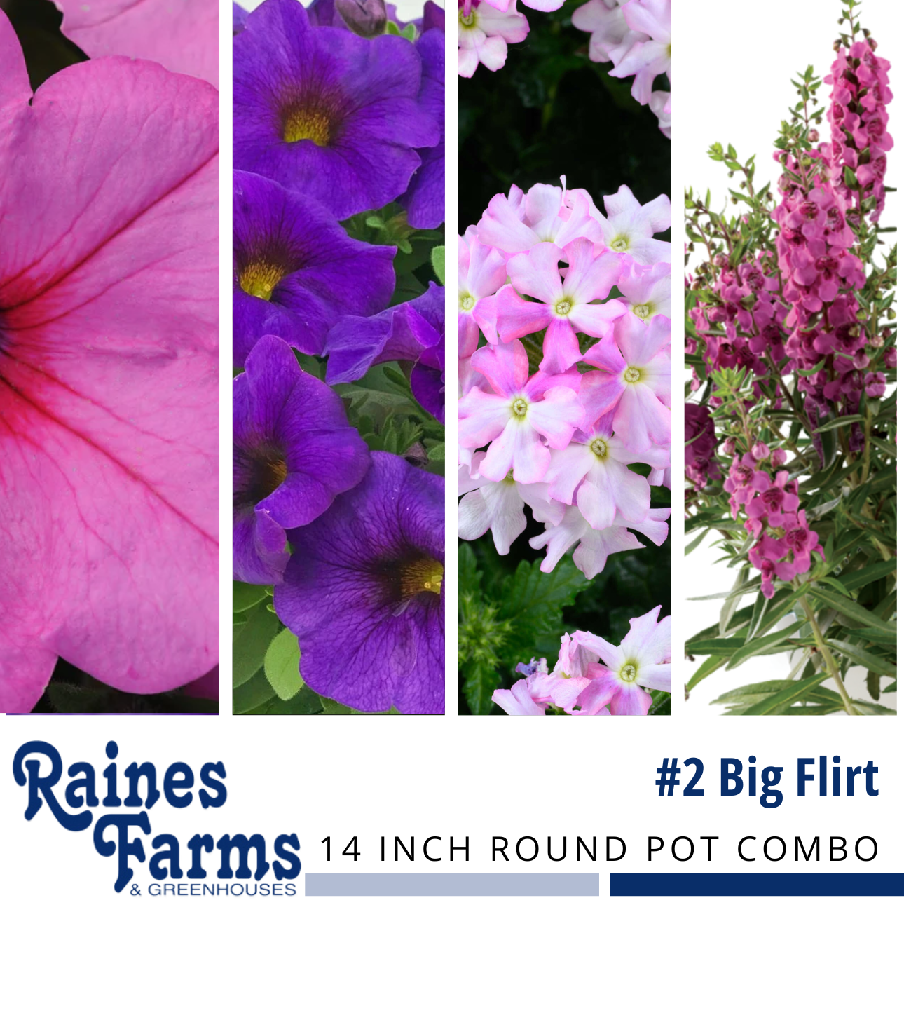 14 Inch Round Pot Planter